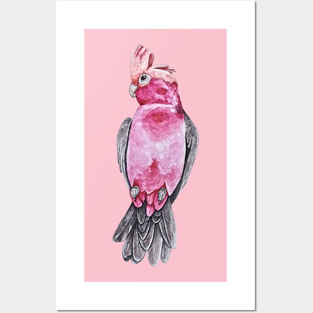 Pink Galah Parrot in Watercolor Wall Art by Wanderlust Creative Lab